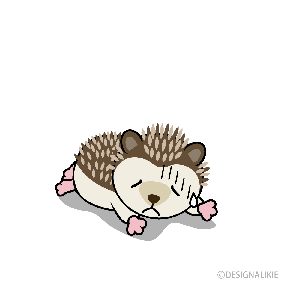 Tired Hedgehog