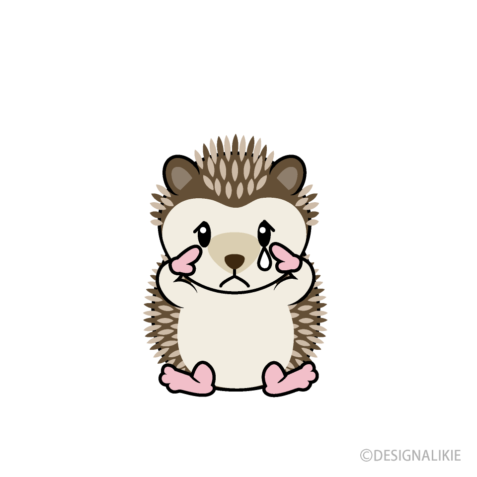 Sad Hedgehog