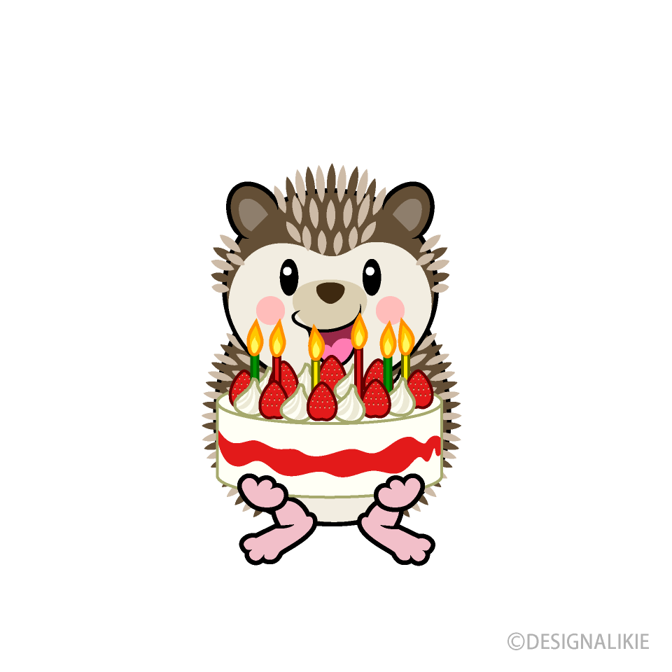 Birthday Hedgehog