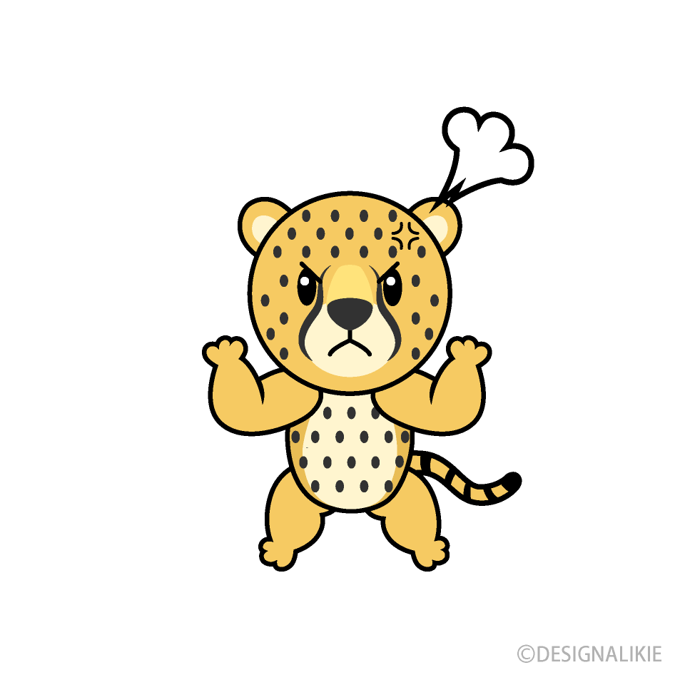 Angry Cheetah