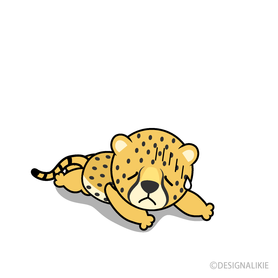 Tired Cheetah Cartoon Free PNG Image｜Illustoon