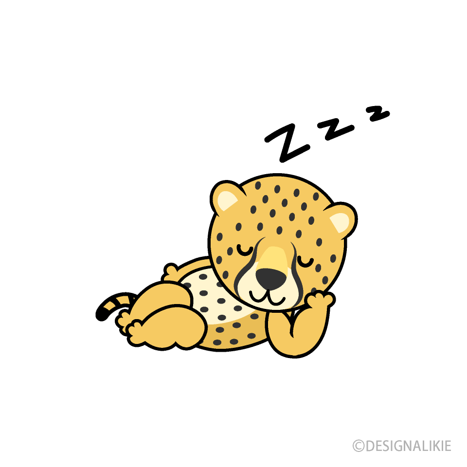 Sleeping Cheetah Cartoon Free PNG Image｜Illustoon