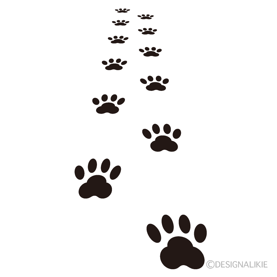 Footprints of a Walking Dog