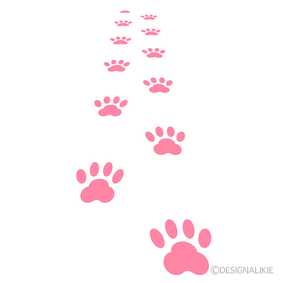 Huellas de un gato caminando