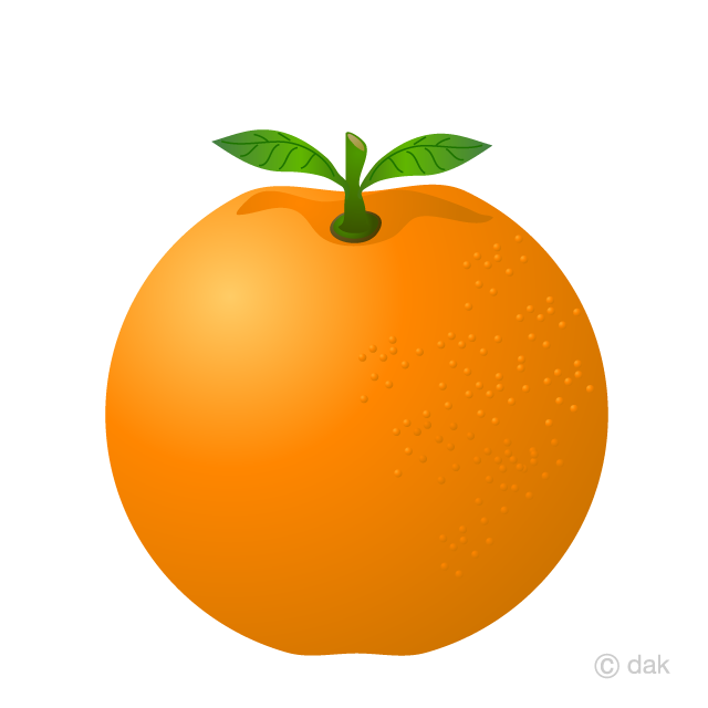 Orange Clip Art Free PNG Image｜Illustoon
