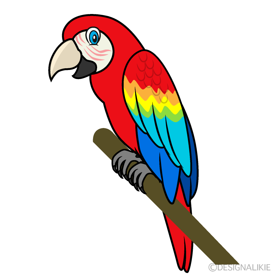 Cool Red Parrot