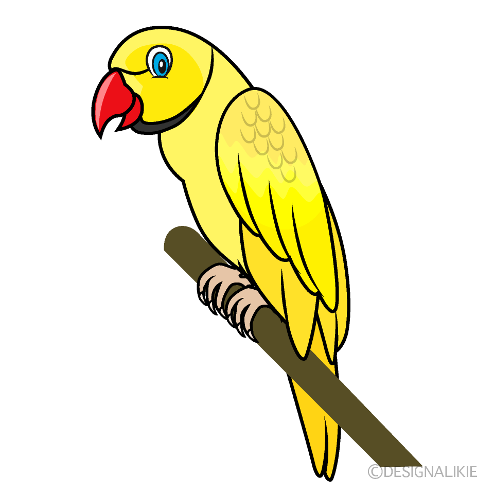 Cool Yellow Parrot Clip Art Free PNG Image｜Illustoon