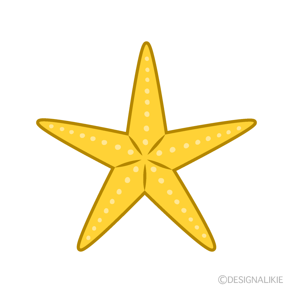 Estrella de Mar Amarilla