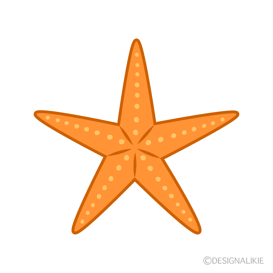 Estrella de Mar Naranja