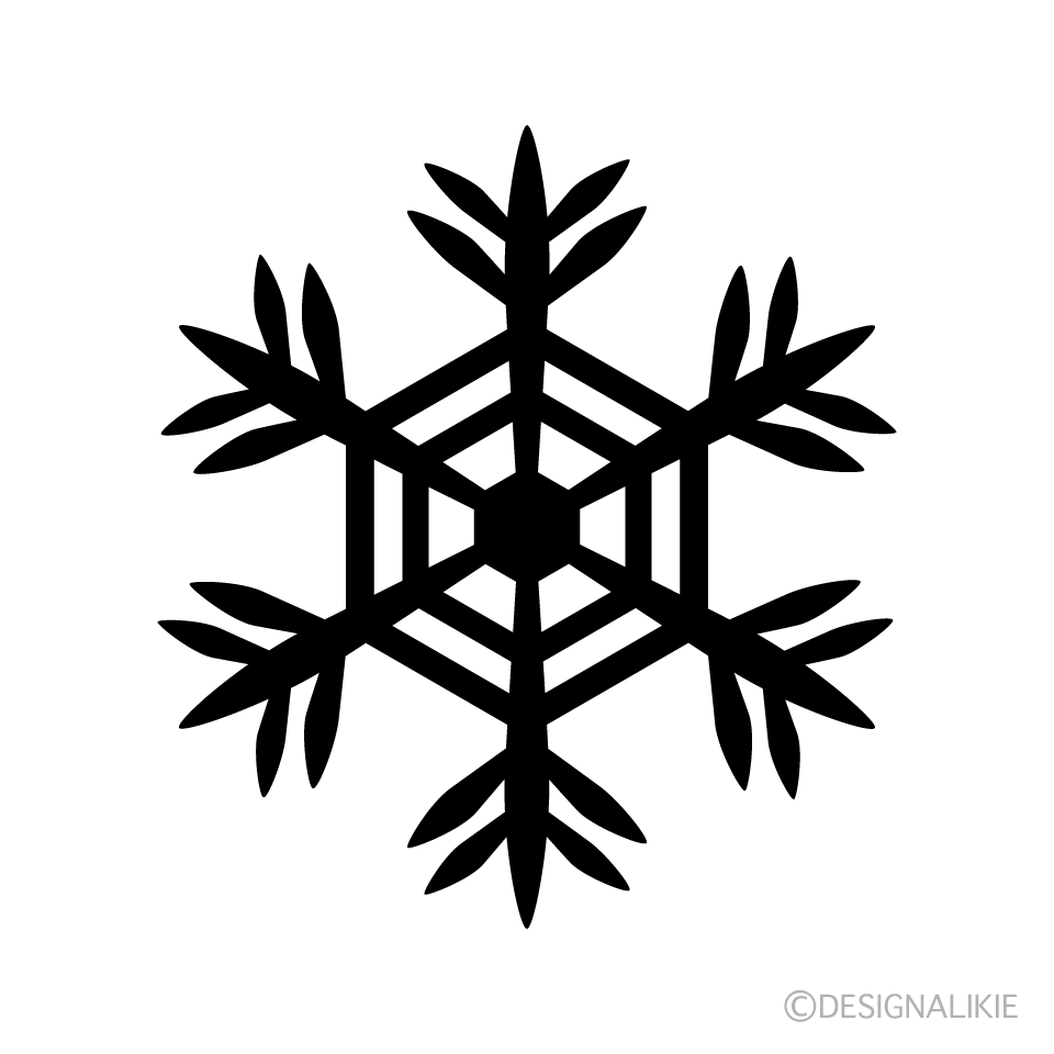 Snowflake silhouette 5