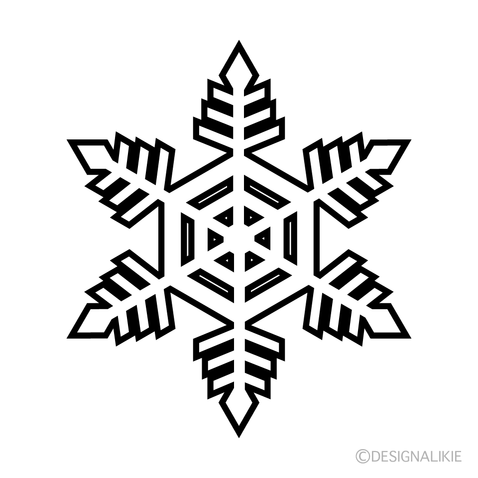 Snowflake Black and White 1