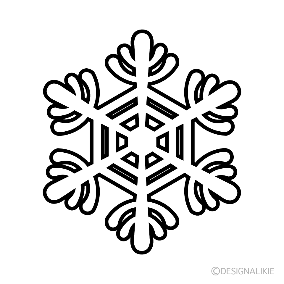 Snowflake Black and White  3
