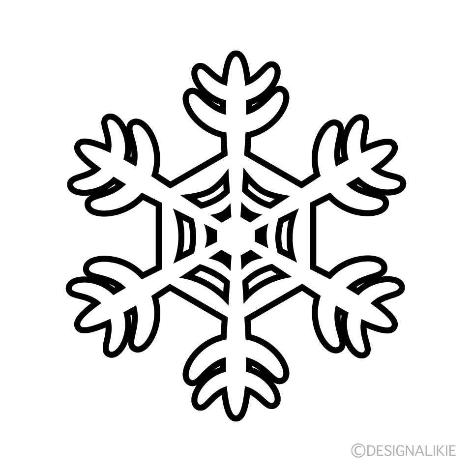 Snowflake Black and White  4