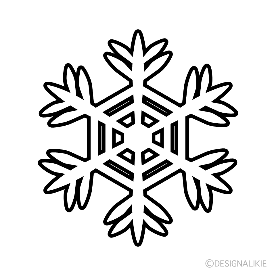 Snowflake Black and White  5