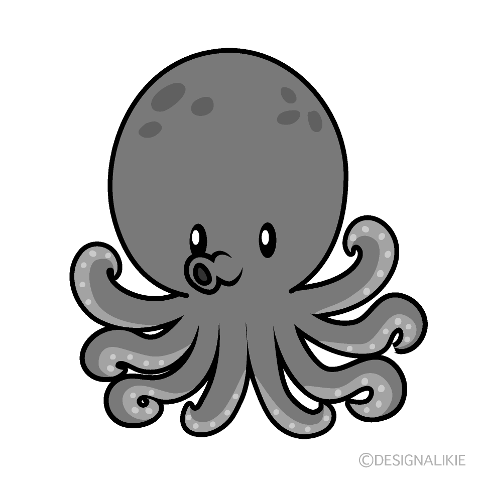 Cute Gray Octopus