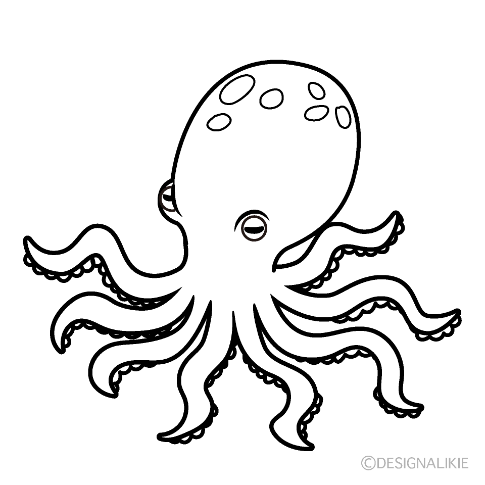 Octopus Black And White Drawing