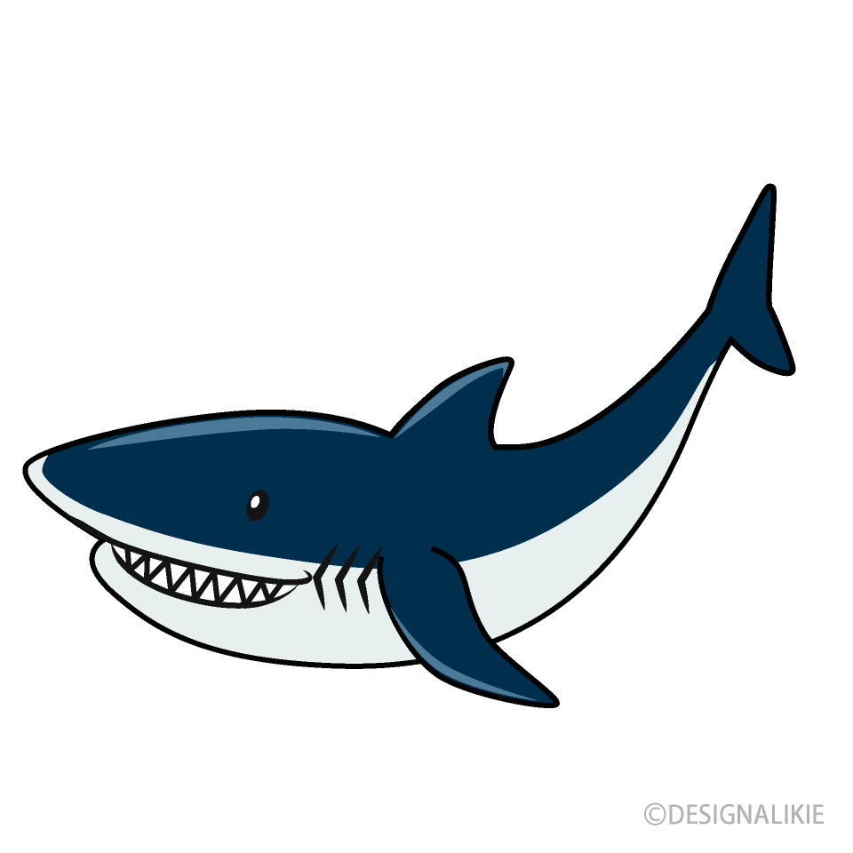 Navy Shark
