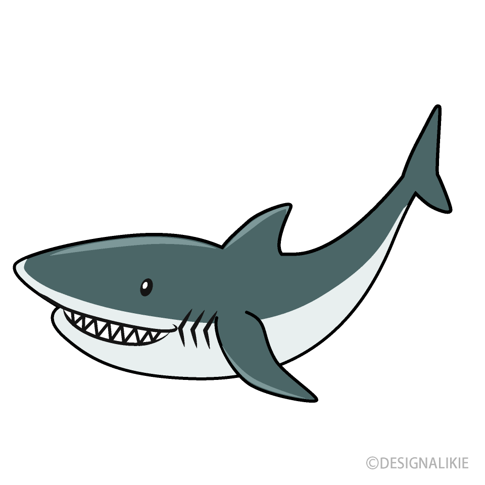 Tiburón Gris