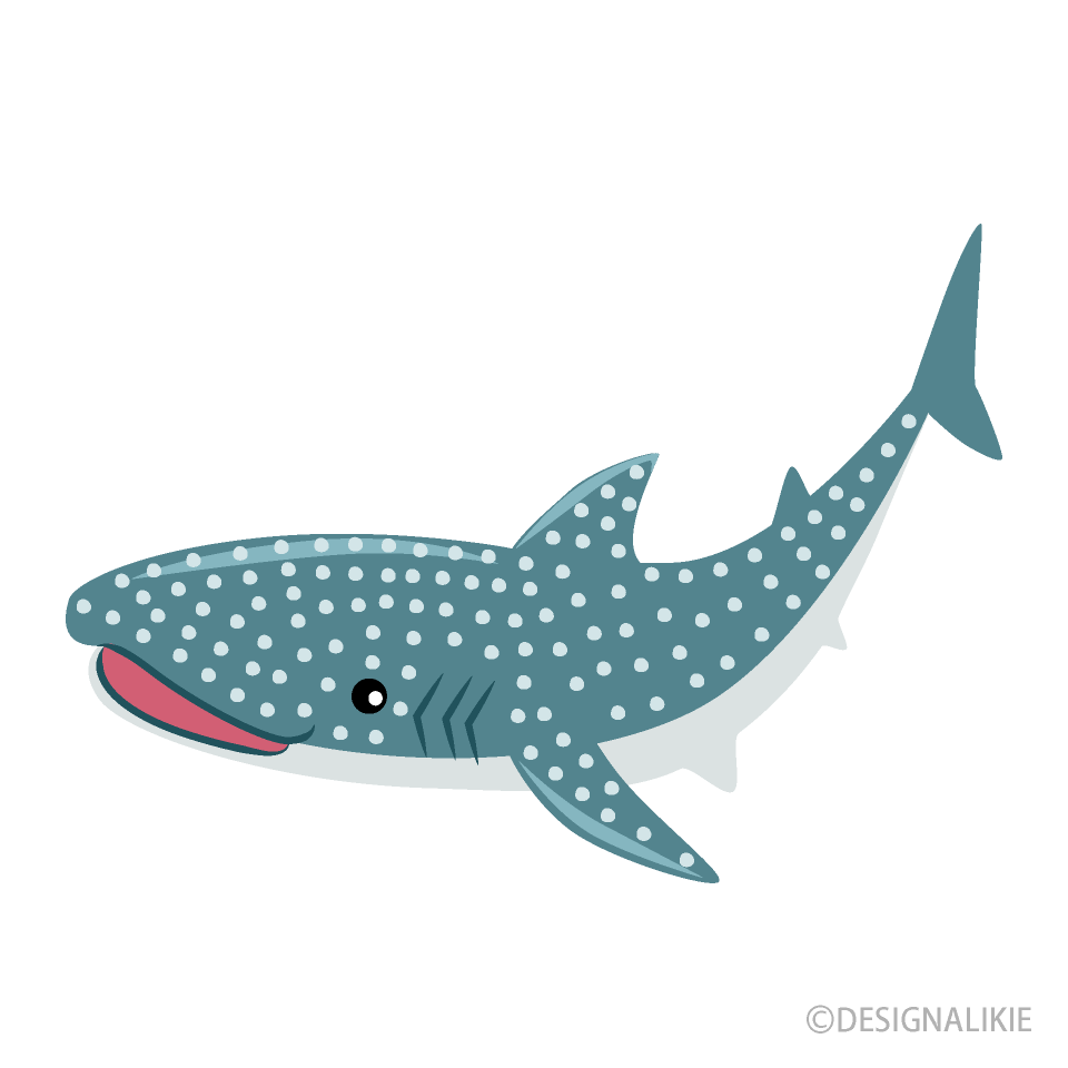Cute Whale Shark