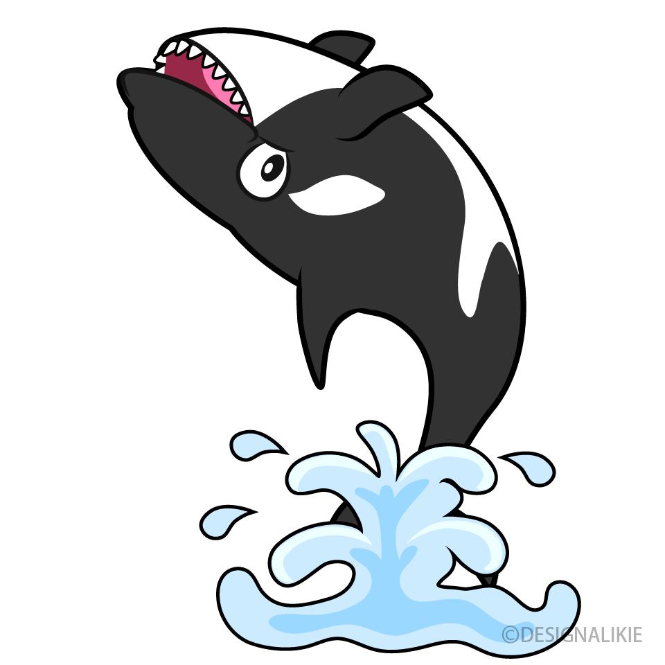 Killer Whale Jumping Backwards Cartoon Free PNG Image｜Illustoon