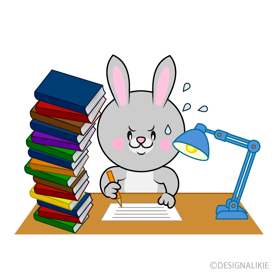 Rabbit Studying Hard