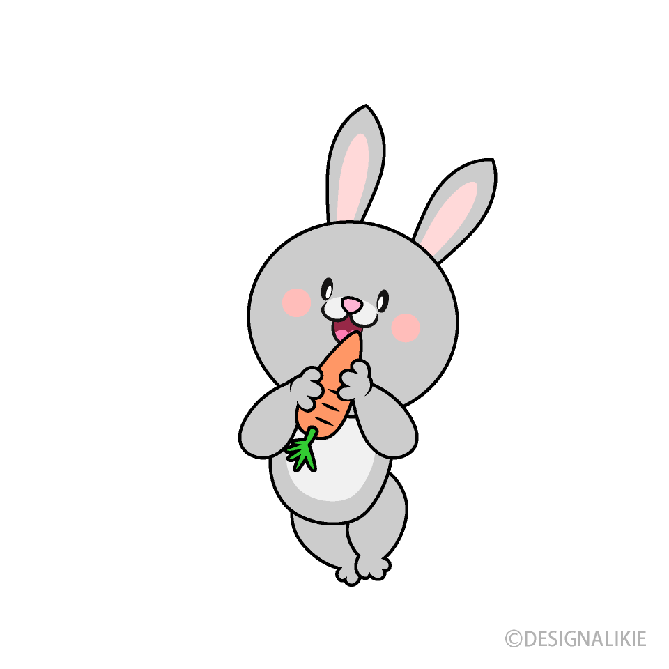 Rabbit Eats Carrot