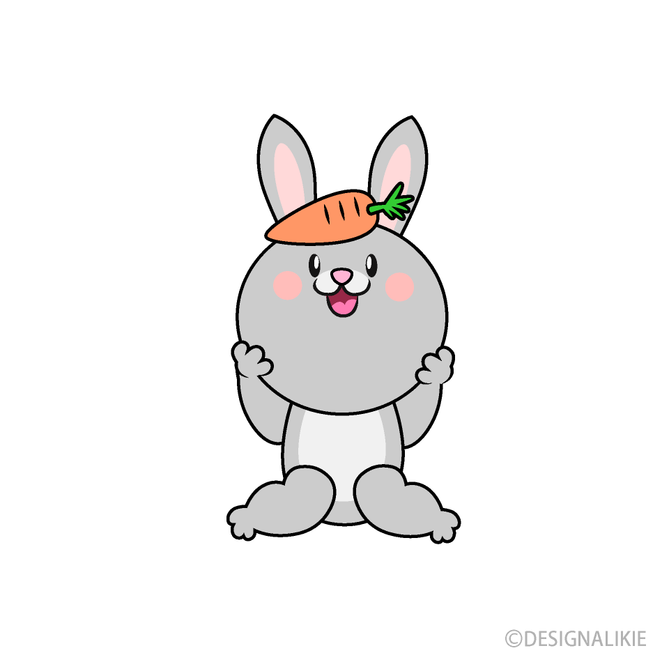 Rabbit Likes Carrot