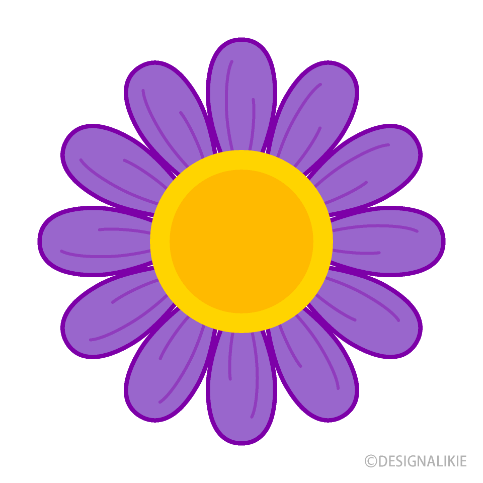 Cute Purple Daisy
