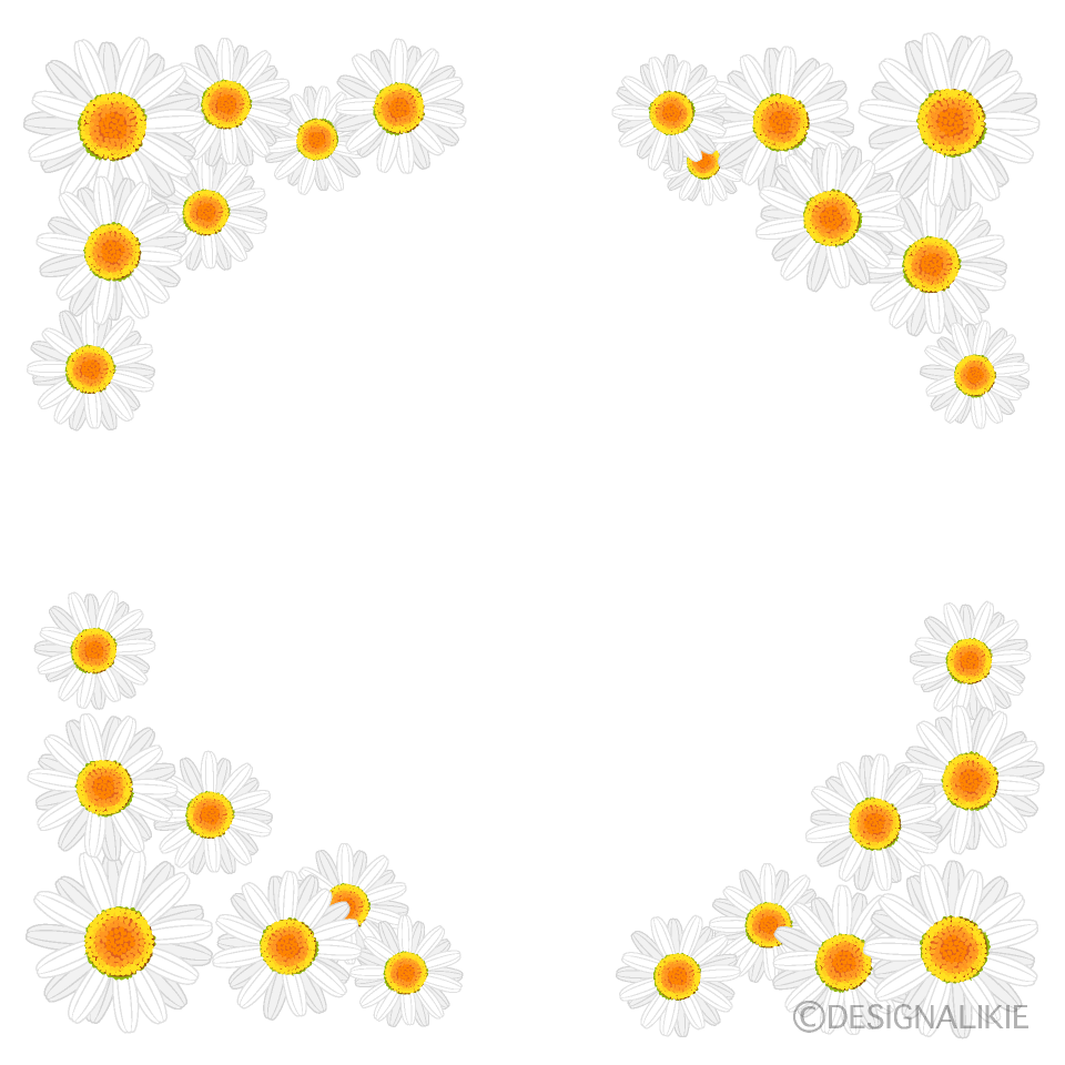 Daisy Frame Clip Art Free Png Image