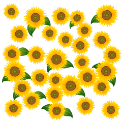 Lots of Sunflowes