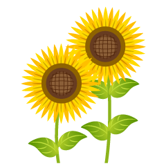 Two Simple Sunflowers