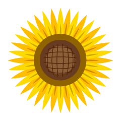 Simple Sunflower Flower