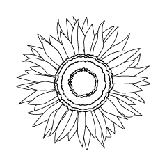 Sunflower Flower Black and White