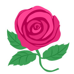 Rosa Rosa Clara