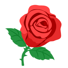 Flor de Rosa Rosa