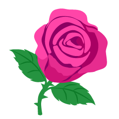 Flor de Rosa Rosa Clara