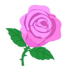 Light Pink Rose Flower