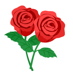 Flores de Rosa Rosa