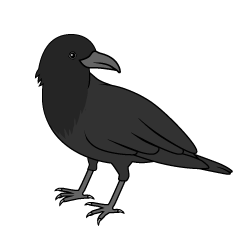 Crow Turning Around
