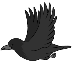 Flying Crow
