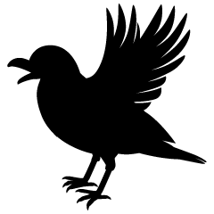 Flapping Crow