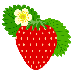 Strawberry with Flower