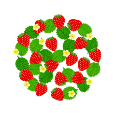 Strawberry and Leaf Circle