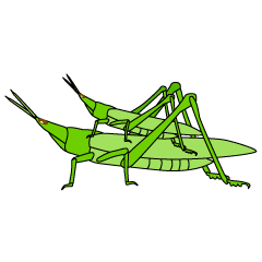 Parent and Child Locust