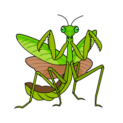 Menacing Mantis