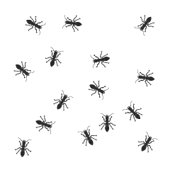 Montones de Hormigas