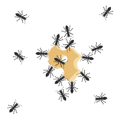 Hormigas enjambre alrededor de Comida