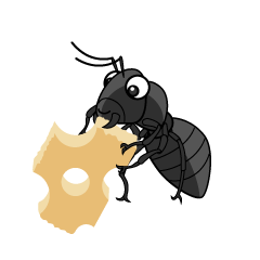 Cute Eating Ant