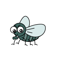 Little Fly