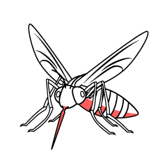 Sucking Mosquito